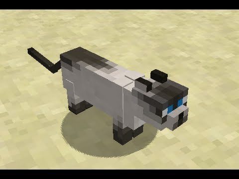 как приручить кошку в minecraft